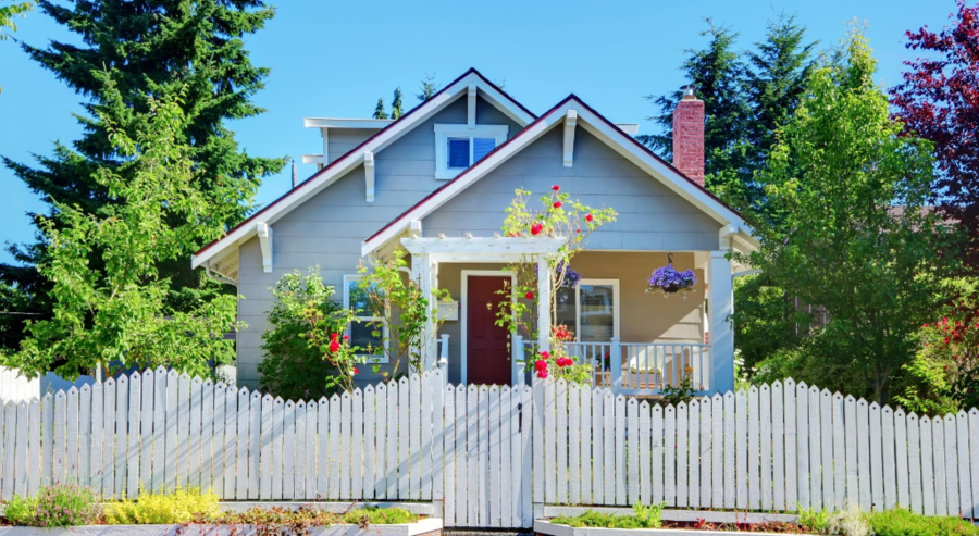 essential-tips-for-painting-your-fence