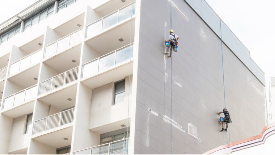 abseiling-painter-sydney