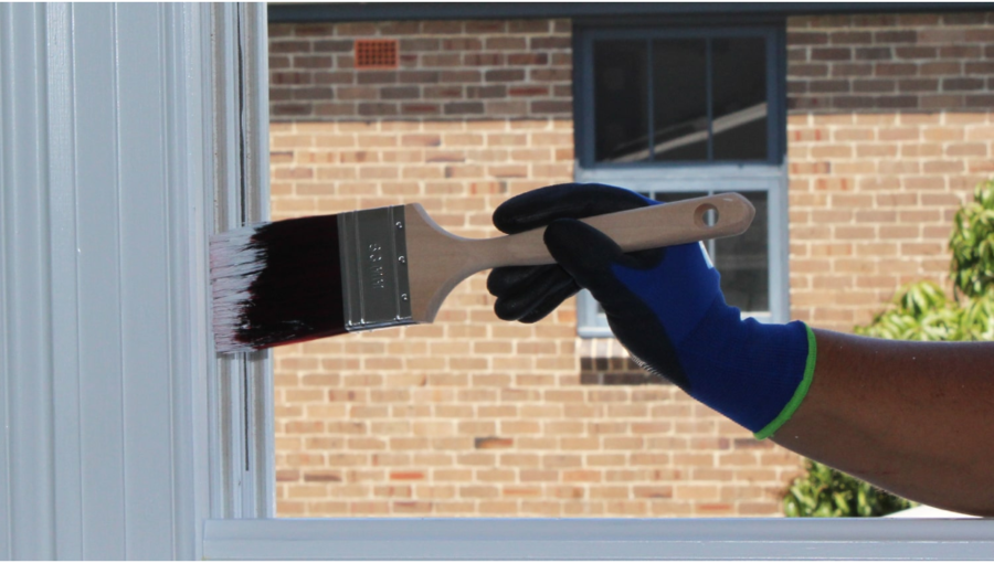 professional-painting-company