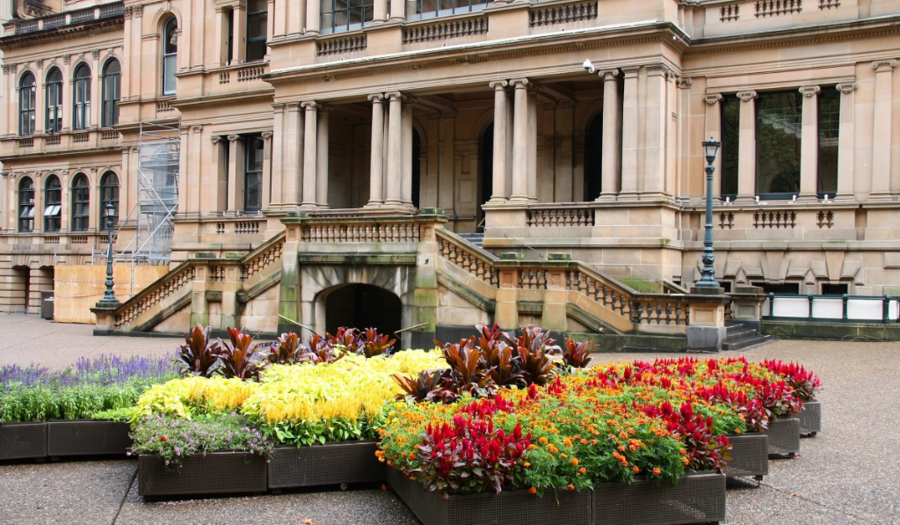 Sydney town hall in Australia old architecture
