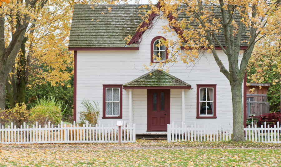 white house under maple trees